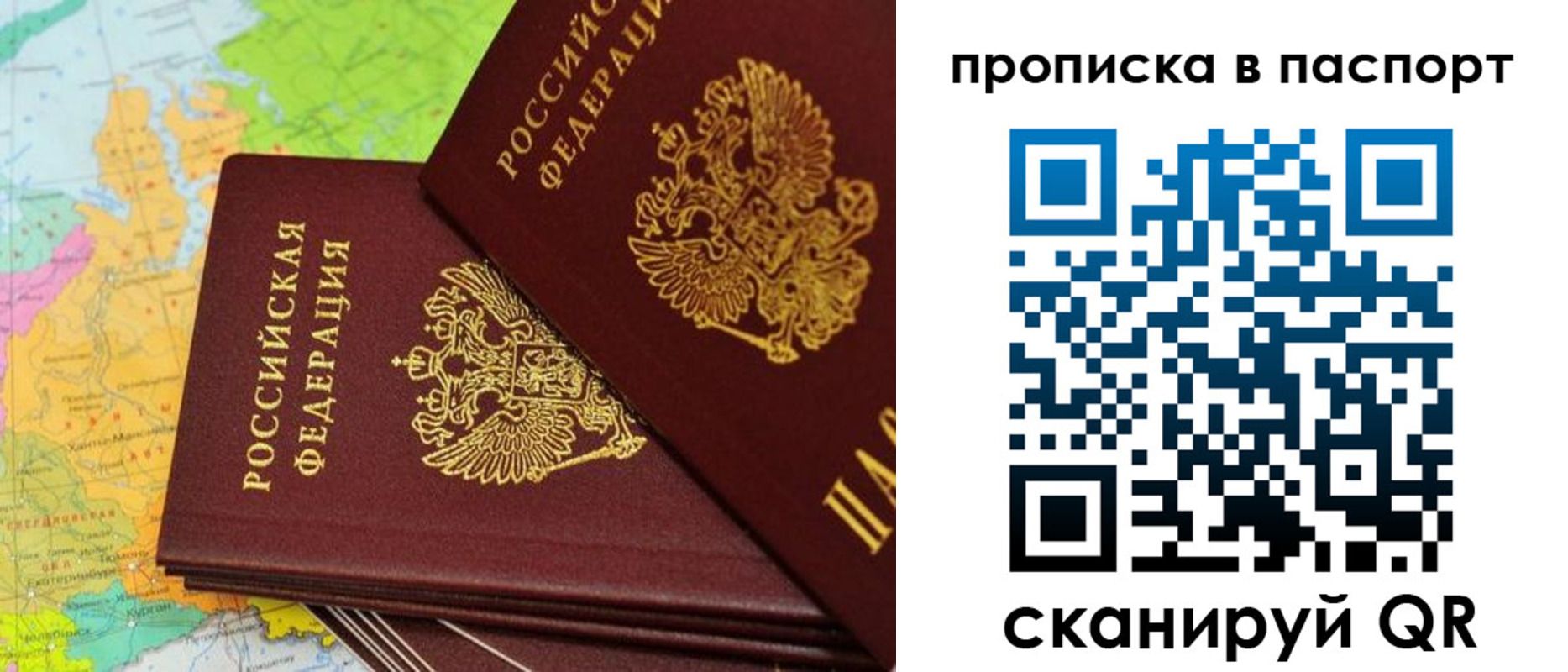 прописка поиск в Светлом