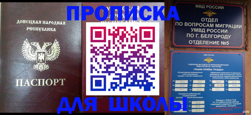 прописка для работы в Светлом